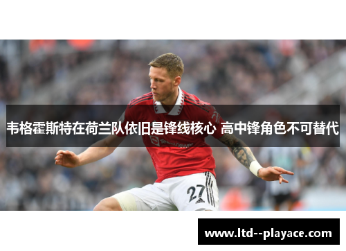 韦格霍斯特在荷兰队依旧是锋线核心 高中锋角色不可替代 韦格霍斯特在荷兰队依旧是锋线核心 高中锋角色不可替代